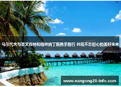马尔代夫与圣文森特和格林纳丁斯携手前行 共筑不忘初心的美好未来