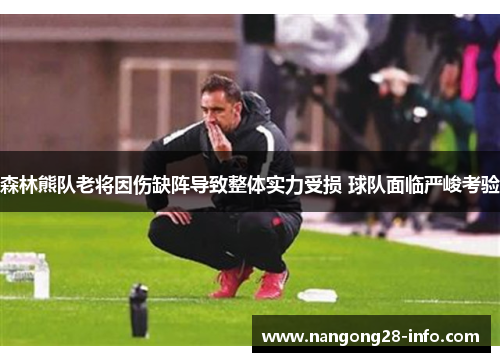 森林熊队老将因伤缺阵导致整体实力受损 球队面临严峻考验