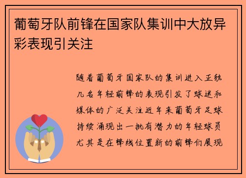 葡萄牙队前锋在国家队集训中大放异彩表现引关注